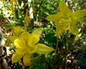 photo thumbnail #14