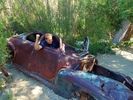 photo thumbnail #13