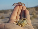 photo thumbnail #5