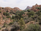photo thumbnail #1