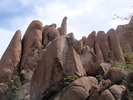 photo thumbnail #8