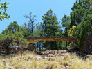 photo thumbnail #14