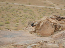photo thumbnail #1