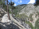 photo thumbnail #2