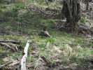 photo thumbnail #6