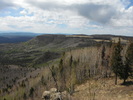 photo thumbnail #8