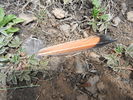photo thumbnail #14