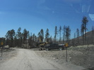 photo thumbnail #8