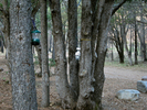 photo thumbnail #10