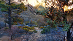 photo thumbnail #5
