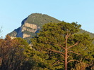 photo thumbnail #11