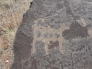 photo thumbnail #14