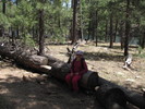 photo thumbnail #10