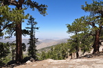 photo thumbnail #11