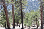 photo thumbnail #14