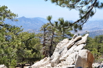 photo thumbnail #15
