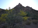 photo thumbnail #1
