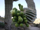 photo thumbnail #2