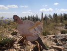 photo thumbnail #7