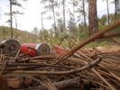 photo thumbnail #1