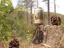 photo thumbnail #4
