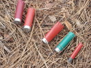 photo thumbnail #5