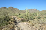 photo thumbnail #5
