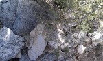 photo thumbnail #2