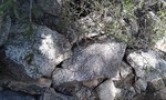 photo thumbnail #3