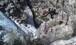 photo thumbnail #5