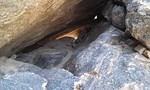 photo thumbnail #8