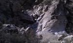photo thumbnail #9