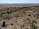 photo thumbnail #3