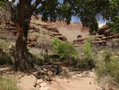 photo thumbnail #10