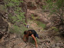 photo thumbnail #14