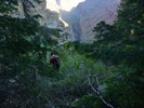 photo thumbnail #2
