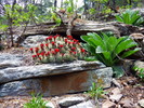 photo thumbnail #1