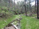 photo thumbnail #3