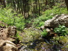 photo thumbnail #10