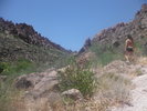 photo thumbnail #2