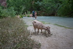 photo thumbnail #13