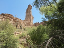 photo thumbnail #13