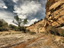 photo thumbnail #1