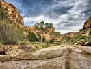photo thumbnail #4