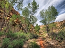 photo thumbnail #6