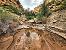 photo thumbnail #10
