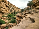 photo thumbnail #12