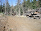 photo thumbnail #5