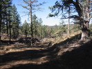photo thumbnail #6