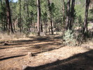photo thumbnail #9